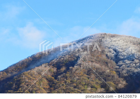 群馬縣赤城山秋葉和樹上的霧凇 84120879