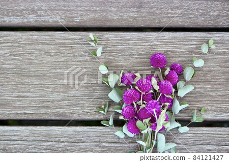 Dried flowers of Senboku and Eucalyptus 84121427