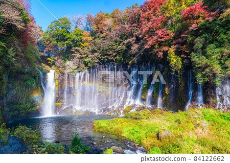Shiraito Waterfall and Rainbow in Autumn Leaves Season [Shizuoka Prefecture] 84122662
