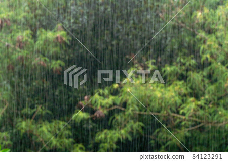 rain rain 84123291
