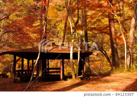 日本秋葉 84123307