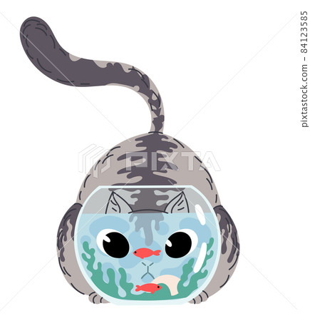 Cat at aquarium watching fish his head looks magnified through glass 84123585