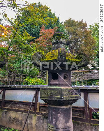 The approach to the Ueno Toshogu stone lantern in Ueno Park, Tokyo 84123687