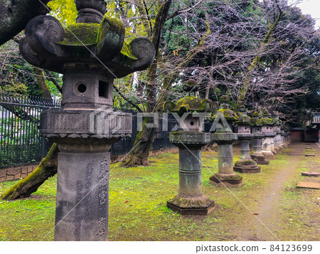 前往東京上野公園的上野東照宮石燈籠 84123699