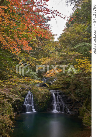 Red-Eyes Advance Falls Red-Eyes Advance Falls 84123766