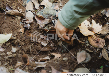 尋找昆蟲的孩子 尋找昆蟲的孩子 84123855