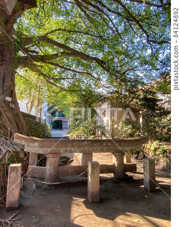 Kagoshima / Sakurajima Kurokami Buried Torii Kagoshima / Sakurajima Kurokami Buried Torii 84124892