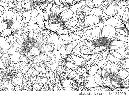 Peonies flowers. Seamless pattern, background. Outline hand drawing vector  84124929