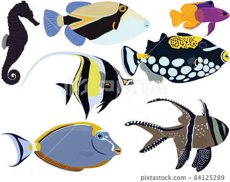 Aquarium tropical fish types seahorse, moorish idol, gramma collection vector illustration 84125289