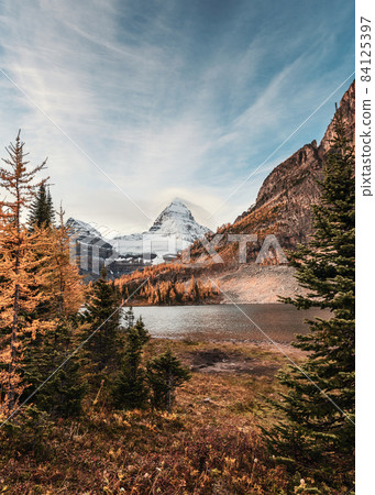 Mount Assiniboine in autumn forest at provincial park Mount Assiniboine in autumn forest at provincial park 84125397