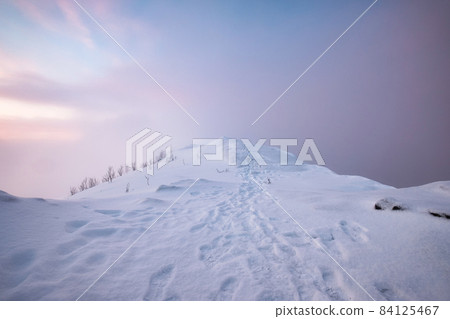 Snow covered mountain peak with footprint and colorful sky in blizzard on mount Segla at Senja island 84125467