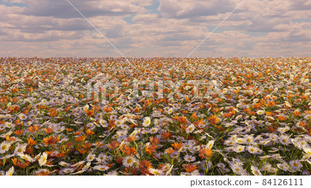 flower field of daisies in sun light cloudy sky horizon beautiful nature meadow background 3D illustration 84126111