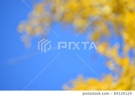 深藍的天空、飛機和從染黃的銀杏葉縫隙中掠過的尾跡 84126124