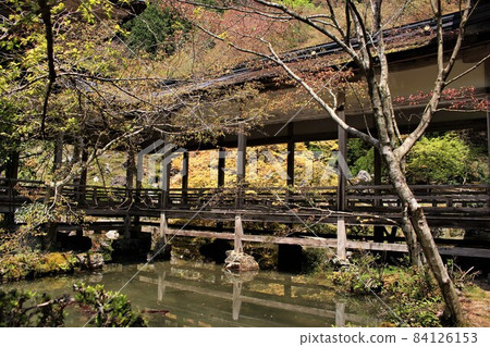 TsuneTerusumeragitera 84126153