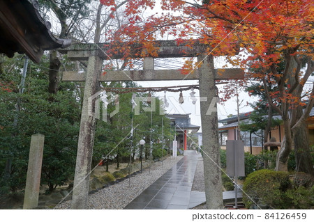 Torii of the shrine (Hakusangu, Nisshin City, Aichi Prefecture) 84126459