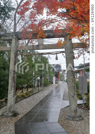 Torii of the shrine (Hakusangu, Nisshin City, Aichi Prefecture) 84126460
