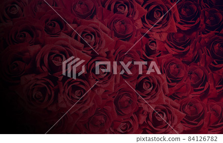 black and red color roses on nature background, banner template, web, copy space black and red color roses on nature background, banner template, web, copy space 84126782