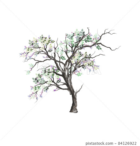 ancient tree hand drawing ancient tree hand drawing 84126922