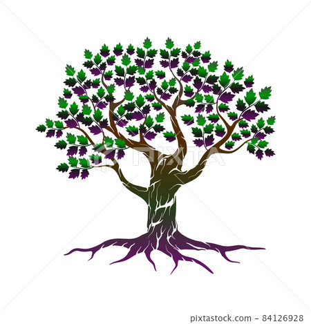 oak tree logo vector illustration 84126928