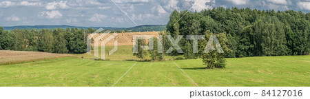 Yellow wheat fields and green surroundings on rural farmland in Germany Yellow wheat fields and green surroundings on rural farmland in Germany 84127016