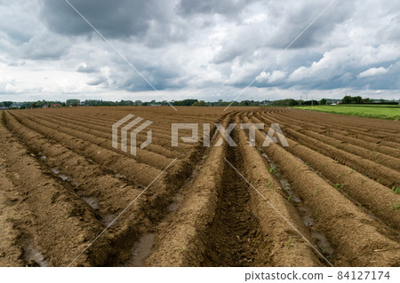 Landscape view over potato fields Landscape view over potato fields 84127174