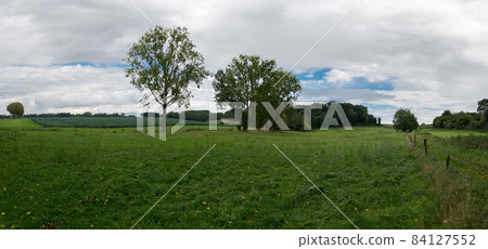 Green meadows and forests in a Flemish nature reserve 84127552