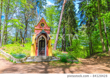 Ecce Homo chapel in Slavkov forest, beech trees with green leaves on branches Ecce Homo chapel in Slavkov forest, beech trees with green leaves on branches 84128428