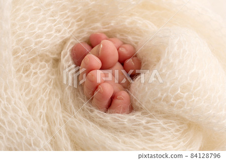 Legs, toes, feet and heels of a newborn baby. Wrapped in a white knitted blanket 84128796