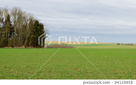 Green fields at the Belgian countryside around Jodoigne Green fields at the Belgian countryside around Jodoigne 84128958