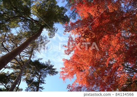 二田公園 100選日本歷史公園等[神戶北區] 84134566