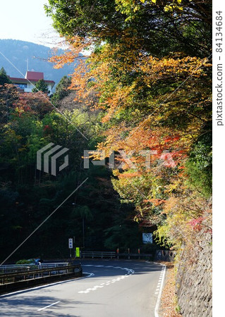 神奈川縣足柄下郡箱根町強羅站與小湧谷站之間的國道1號線的秋葉景色 84134684