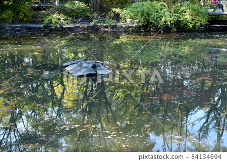 Atsuta Jingu Atsutanomori Prayer Hall 84134694