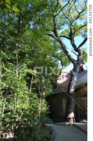 熱田神宮熱田森禮拜堂 熱田神宮熱田森禮拜堂 84134709