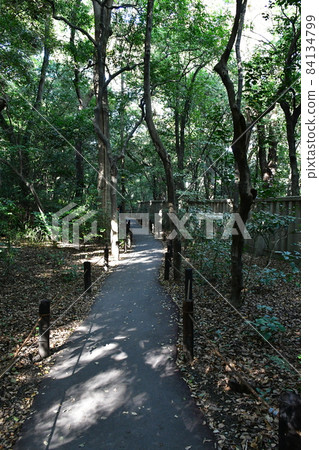 Atsuta Jingu Atsutanomori Prayer Hall 84134799