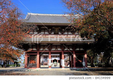 Ikegami Honmonji Nishioon 84134999