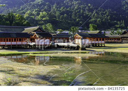 Miyajima Itsukushima Shrine, Hatsukaichi City, Hiroshima Prefecture Miyajima Itsukushima Shrine, Hatsukaichi City, Hiroshima Prefecture 84135725