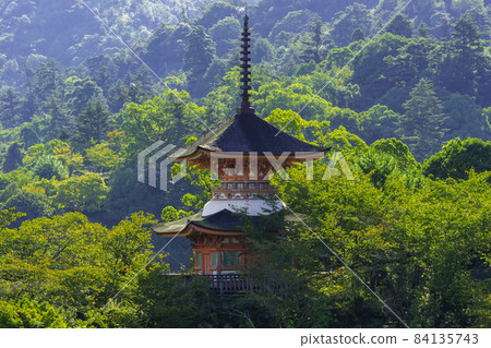 Miyajima Itsukushima Shrine Tahoto, Hatsukaichi City, Hiroshima Prefecture 84135743
