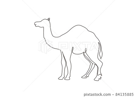 Single one line drawing strong desert Arabic camel for logo. Cute mammal animal concept for livestock husbandry, tourism, transportation. Modern continuous line draw design graphic vector illustration 84135885