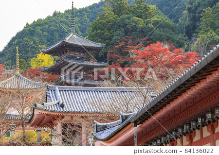 坪坂寺的秋葉 坪坂寺的秋葉 84136022