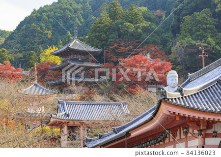 坪坂寺的秋葉 84136023