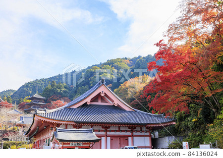 坪坂寺的秋葉 坪坂寺的秋葉 84136024