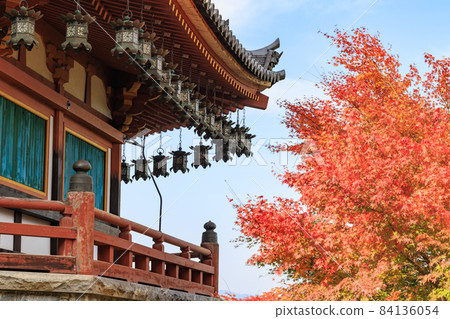 坪坂寺的秋葉 坪坂寺的秋葉 84136054