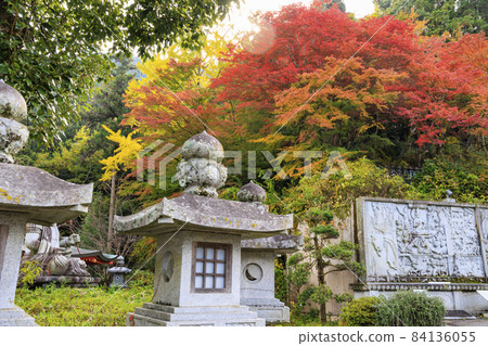 坪坂寺的秋葉 坪坂寺的秋葉 84136055