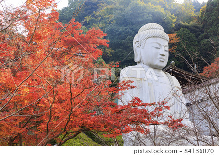 坪坂寺的秋葉 84136070