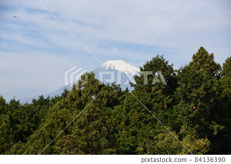 Mishima Sky Walk 84136390