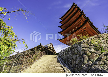 Miyajima Senjokaku and Five-storied Pagoda Hatsukaichi City, Hiroshima Prefecture 84136675