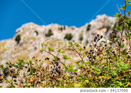 View of Rocca del Crasto near Alcara Li Fusi town in the Nebrodi Park, Sicily View of Rocca del Crasto near Alcara Li Fusi town in the Nebrodi Park, Sicily 84137098