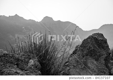 Typical sicilian landscape in the Nebrodi park near the Catafurco waterfalls Typical sicilian landscape in the Nebrodi park near the Catafurco waterfalls 84137107