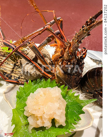 Spiny lobster Spiny lobster 84137202
