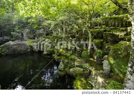 Miyajima Daishoin Precincts Hatsukaichi City, Hiroshima Prefecture 84137441